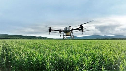 Máy bay phun thuốc nông nghiệp: Bước tiến cách mạng trong canh tác lúa Việt Nam
