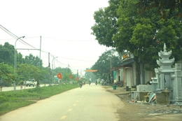 Thọ Bình tập trung tháo gỡ vướng mắc trong quản lý và sử dụng đất đai