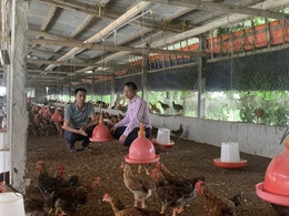 Nâng cao hiệu quả quản lý, phục vụ người dân ngày càng tốt hơn