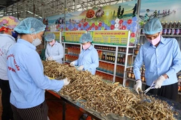 Nông dân vượt khó thi đua làm giàu