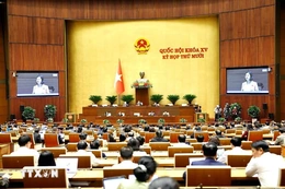 Quốc hội biểu quyết Nghị quyết về kế hoạch phát triển kinh tế-xã hội năm 2026