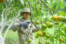 Phát triển kinh tế trên vùng đất Xuân Bình