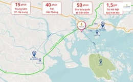 Vị trí Vinhomes Hạ Long Xanh ở đâu? Tại sao thu hút giới đầu tư?