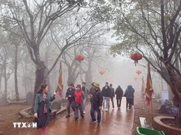 Các địa phương chủ động ứng phó với rét đậm, rét hại và gió mạnh trên biển