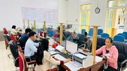 Xuân Hòa đẩy mạnh cải cách hành chính gắn với chuyển đổi số