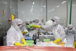 Các ngành sản xuất tăng tốc mùa cao điểm