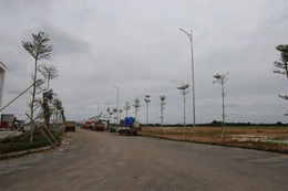 Từ nghị quyết đến hành động