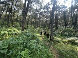 Giữ rừng mùa khô hanh