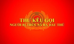 Vụ 15 bị can rửa tiền, chiếm đoạt tài sản: Kêu gọi Hồ Quốc Anh đầu thú