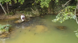 Bí ẩn hang cá thần giữa đại ngàn xứ Thanh