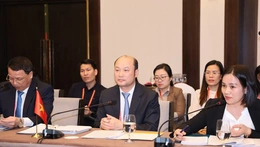 Thanh Hoá tham dự Diễn đàn hợp tác địa phương Việt - Nhật