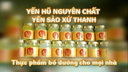 Yến hũ nguyên chất Xứ Thanh – Thực phẩm bổ dưỡng cho mọi nhà