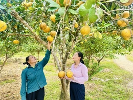Hạ lãi suất nhiều chương trình tín dụng chính sách
