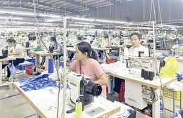 Doanh nghiệp tăng tốc sản xuất, chuẩn bị nguồn hàng phục vụ tết