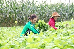 Yên Trường khai thác tiềm năng, thế mạnh để phát triển