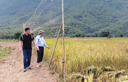 Sơn Thủy phòng ngừa “tham nhũng vặt”