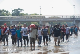 Mỹ tạm dừng toàn bộ hồ sơ xin nhập cư của công dân 19 quốc gia