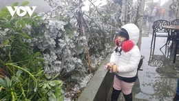 Miền Bắc chuẩn bị bước vào cao điểm rét đậm, rét hại trên diện rộng