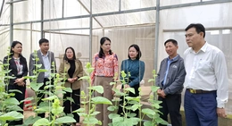 Tập huấn chuyển đổi số và ứng dụng app “Nông dân Việt Nam”