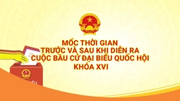 [Infographics] Mốc thời gian trước và sau khi diễn ra cuộc bầu cử đại biểu Quốc hội khóa XVI