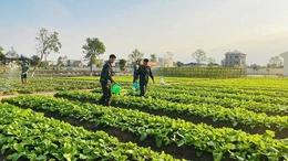 Thi đua Quyết thắng trong lực lượng vũ trang tỉnh: Gắn công tác xây dựng Đảng và học tập, làm theo Bác