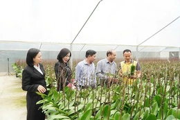 Tự hào nông dân Thanh Hóa thời đại mới