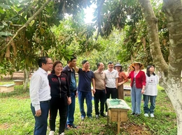 Vân Du phát triển kinh tế - xã hội theo hướng bền vững