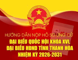 [Infographics]: Hướng dẫn nộp hồ sơ ứng cử Đại biểu Quốc hội khóa XVI, đại biểu HĐND tỉnh Thanh Hóa nhiệm kỳ 2026-2031