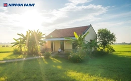 5 Bí quyết chọn sơn ngoại thất giúp ngôi nhà luôn mới và bền màu với thời gian