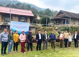 Bàn giao trâu giống sinh sản cho hộ nghèo, cận nghèo xã Yên Nhân