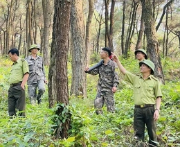 Tuyên truyền nâng cao hiệu quả bảo vệ và phát triển rừng bền vững