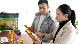 Biện Thượng phát triển sản phẩm OCOP