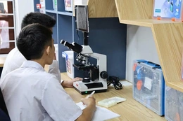 Đẩy mạnh giáo dục STEM, trí tuệ nhân tạo