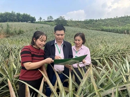 Vốn tín dụng chính sách góp phần giải quyết việc làm