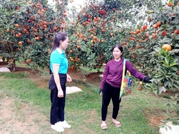 Phụ nữ Điền Lư giúp nhau&nbsp;phát triển kinh tế, giảm nghèo