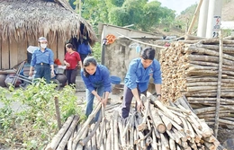 Tuổi trẻ Thanh Hóa khát vọng, bản lĩnh,&nbsp;tiên phong, sáng tạo và phát triển