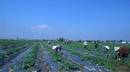 Mở rộng không gian phát triển, “đánh thức” tiềm năng vùng đất Ba Đình