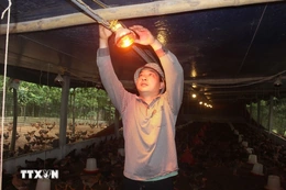 Thời tiết dịp nghỉ Tết Dương lịch 2026: Vùng núi Bắc Bộ có nơi rét đậm