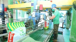 Kinh tế tư nhân Thanh Hóa: Đi tìm “lực bật” trong thách thức (Bài cuối) - Cuộc chuyển mình từ nội lực