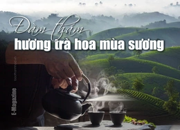 [E-Magazine]: Đằm thắm hương trà hoa mùa sương