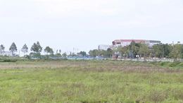 Ngày 30/12, cưỡng chế thu hồi đất giải phóng mặt bằng dự án Khu dân cư đồng Mả Cố Dưới