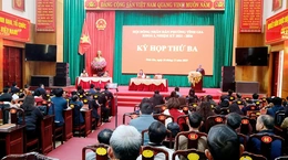 Năm 2025, phường Tĩnh Gia có 17/21 chỉ tiêu chủ yếu đạt và vượt kế hoạch