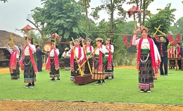 “Sức mạnh mềm” - Sắc xuân mới