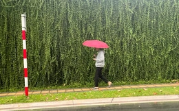 Miền Bắc đón không khí lạnh gây mưa rét dịp Tết Dương lịch 2026