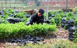 Quy định mới về đối tượng không chịu thuế giá trị gia tăng