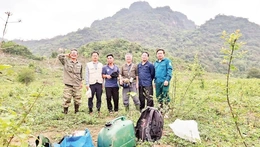 Dữ liệu mới về bảo tồn sinh vật nguy cấp, quý hiếm