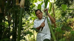 Thoát nghèo bền vững từ những mô hình sinh kế phù hợp