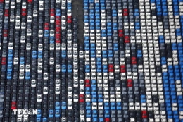 Các hãng ôtô Nhật Bản phá kỷ lục 30 năm về nhập khẩu ngược