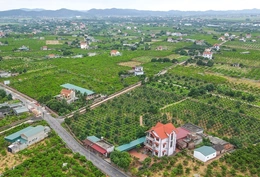 Tháo gỡ vướng mắc các dự án đất đai và triển khai Chương trình mục tiêu quốc gia