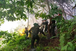 Kịp thời dập tắt đám cháy rừng trên địa bàn phường Quang Trung